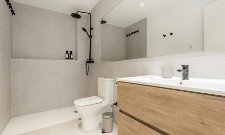 Stripes & Sunlight 9