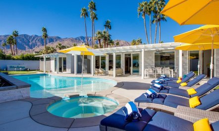 Flamingos & Polka Dots