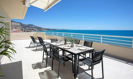 Sunny Vista Delights 2