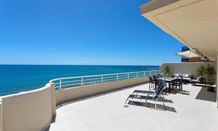 Sunny Vista Delights 3