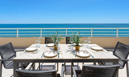 Sunny Vista Delights 5