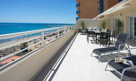 Sunny Vista Delights