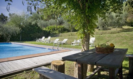 Warm Italian Ambience 5