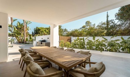 Light of the Mountain 3