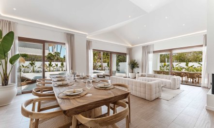 Light of the Mountain 6