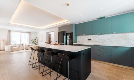 Light of the Mountain 0