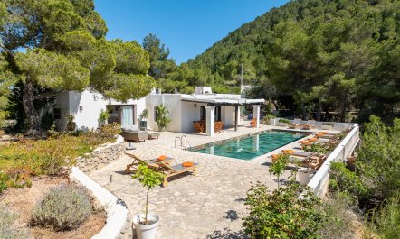 The Poppy House