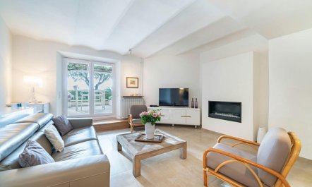 The Garden of Cannes 3