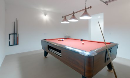 Palm Trees & Pools 5