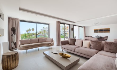 Palm Trees & Pools 7