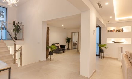 Palm Trees & Pools 6