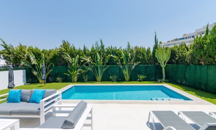 Palm Trees & Pools 1