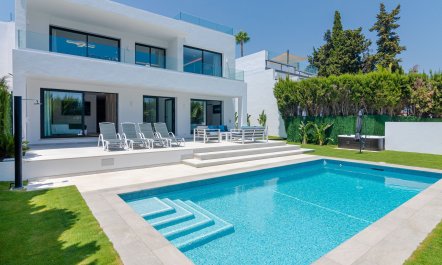 Palm Trees & Pools 3