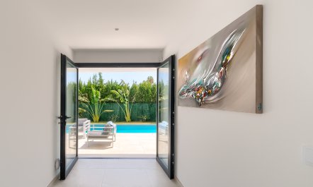 Palm Trees & Pools 4