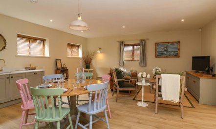 Classic & Timeless 7