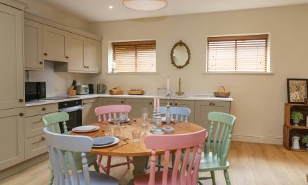 Classic & Timeless 1