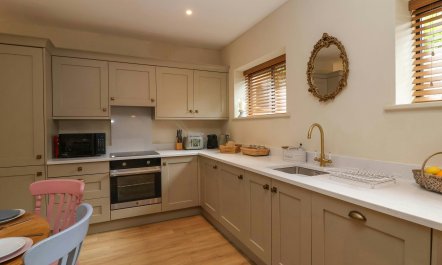 Classic & Timeless 8