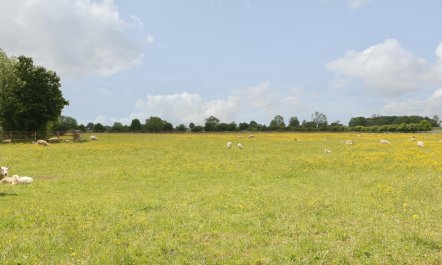 Love in the Cotswolds 9