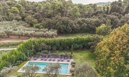 Proven&ccedil;al Peace 2