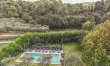 Proven&ccedil;al Peace 2