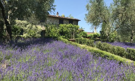 Gentle Tuscan Haven