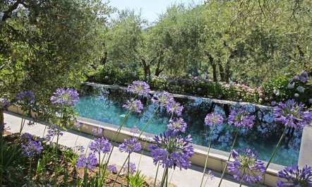 Gentle Tuscan Haven 3