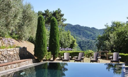 Gentle Tuscan Haven 2