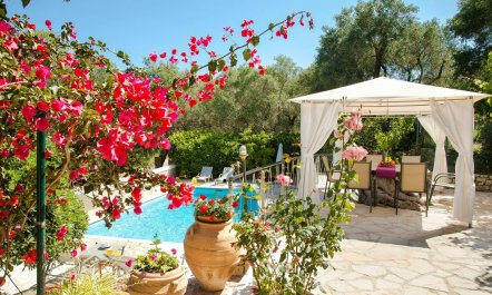 Olive Tree Hideaway 1