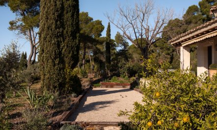 Piece of Provence 8