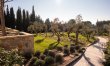 Piece of Provence 9