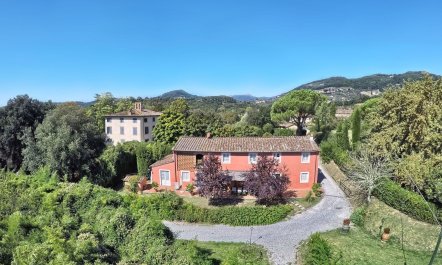 Luminous Tuscan Charm