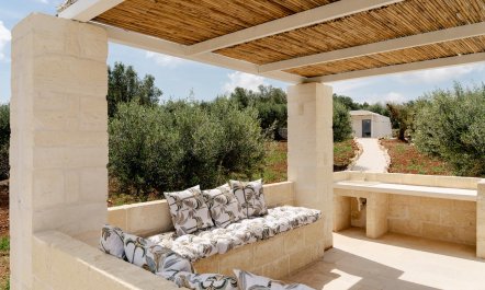 Olive Nest 4
