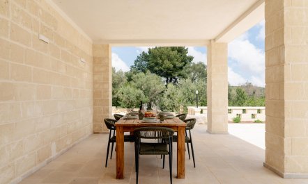 Olive Nest 3