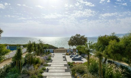 Tranquil Shoreline 1