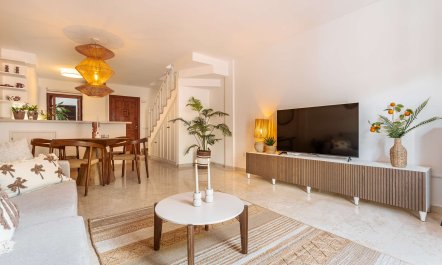 Sunlight on Shores 7