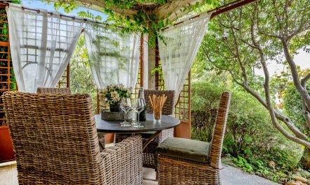 Luberon Reverie