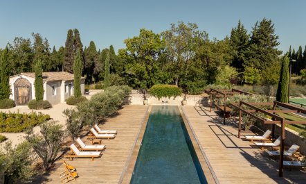 Proven&ccedil;al Sunshine 2