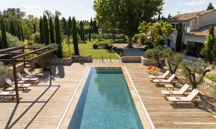 Proven&ccedil;al Sunshine