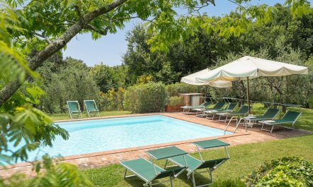 Tuscan Promise 4