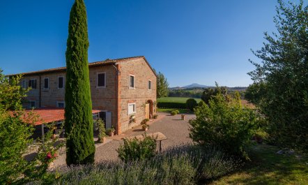 Tuscany Grace