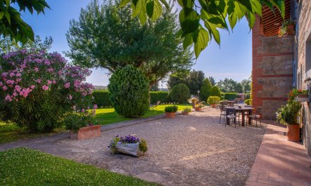 Tuscany Grace 3