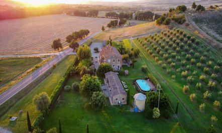 Tuscany Grace 1