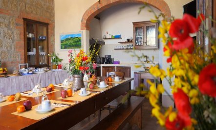 Tuscany Grace 9