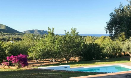 The Olive Pavilion 4