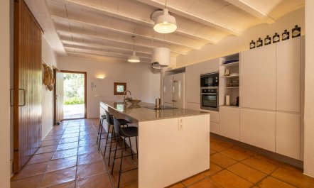 The Olive Pavilion 6