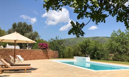 The Olive Pavilion 3