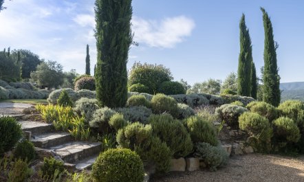 Sunny in Provence 4