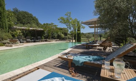 Sunny in Provence