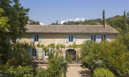 Sunny in Provence 3
