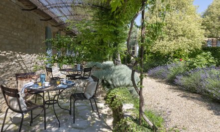 Sunny in Provence 5